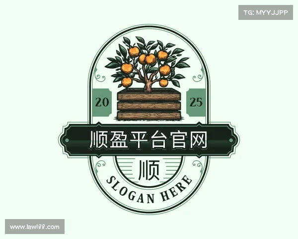 了解顺盈平台注册